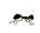 postheadericon
